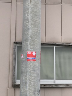 IMG-4869.jpg
